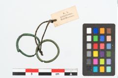 Foto von Bronzering (NHMW-PRAE-026266)